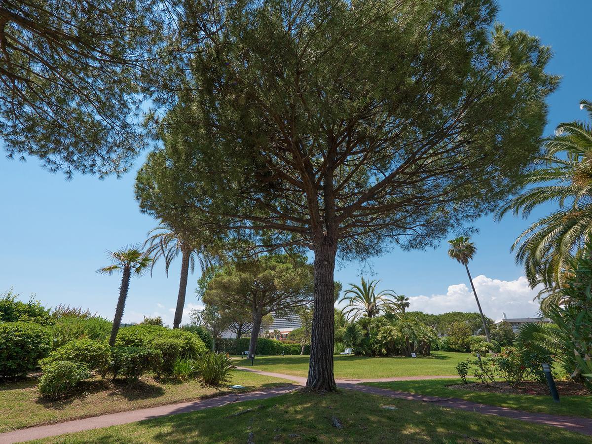 Hotel Bahia Villeneuve-Loubet Ngoại thất bức ảnh