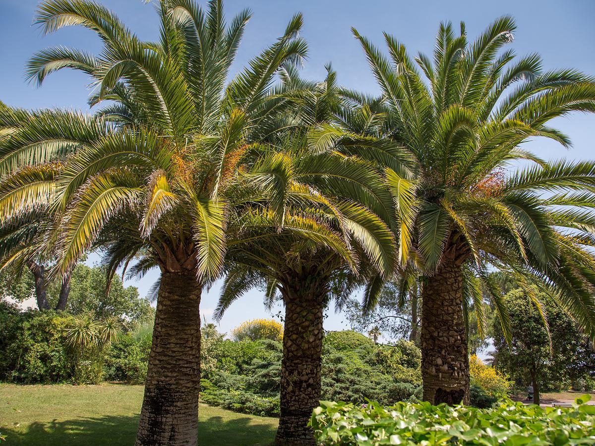 Hotel Bahia Villeneuve-Loubet Ngoại thất bức ảnh