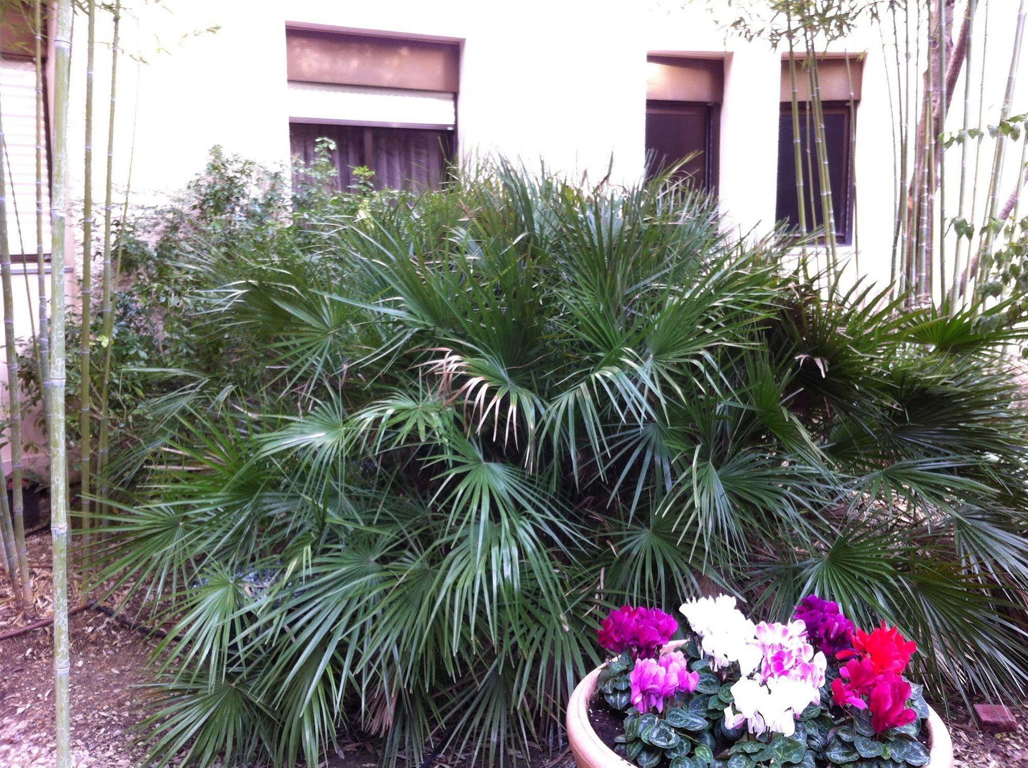 Hotel Bahia Villeneuve-Loubet Ngoại thất bức ảnh